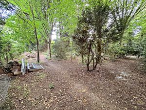 Woodland- click for photo gallery